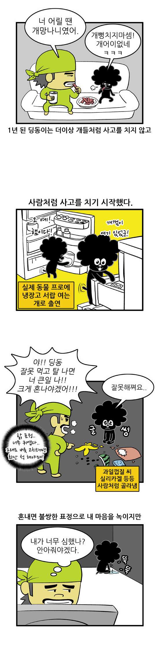 5 페이지