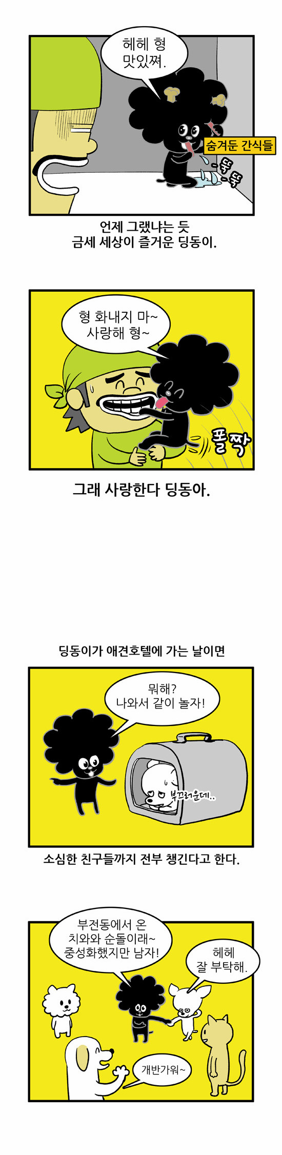 6 페이지