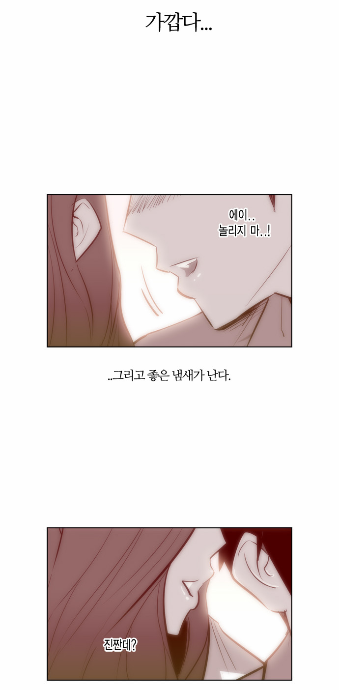 17 페이지