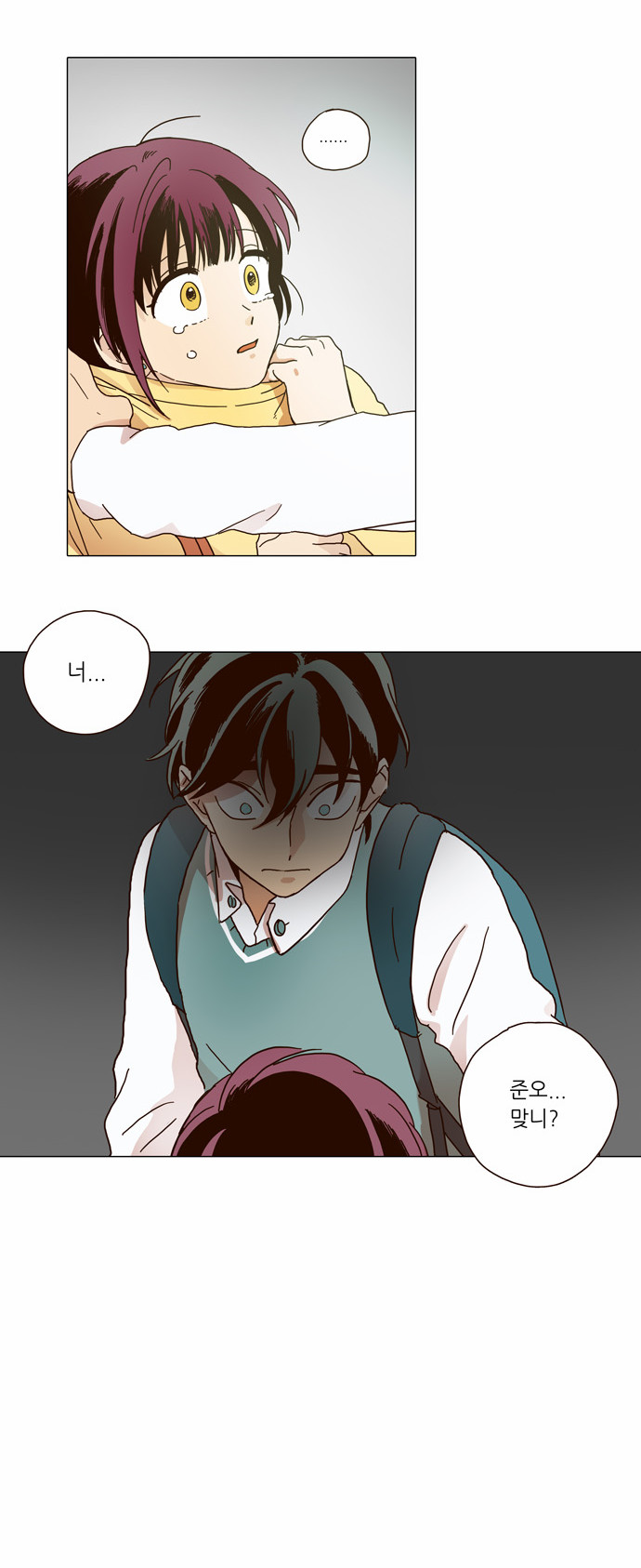 20 페이지