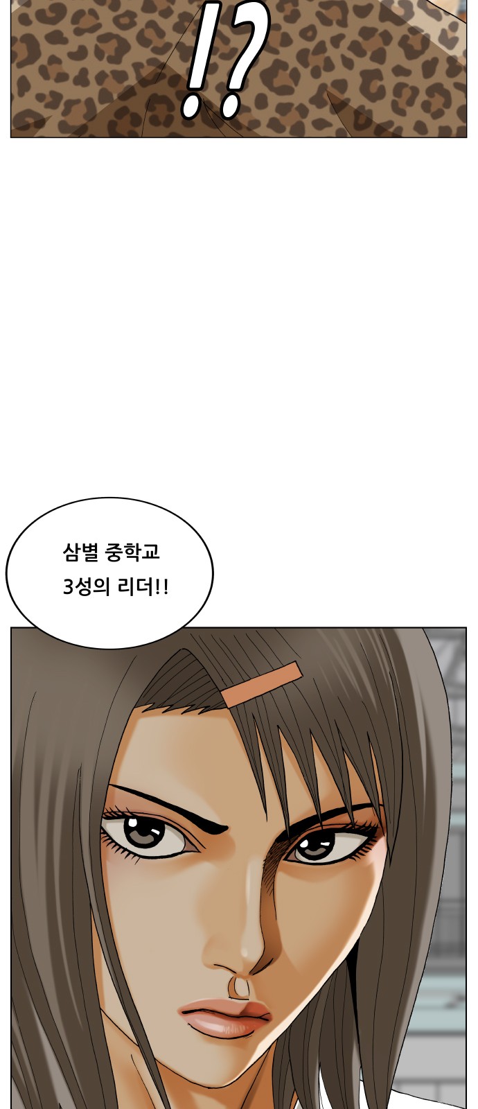 52 페이지