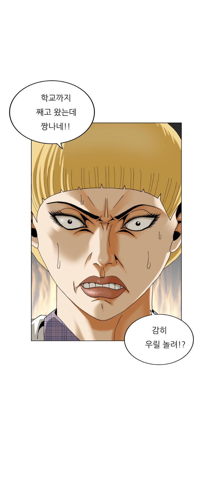 16 페이지
