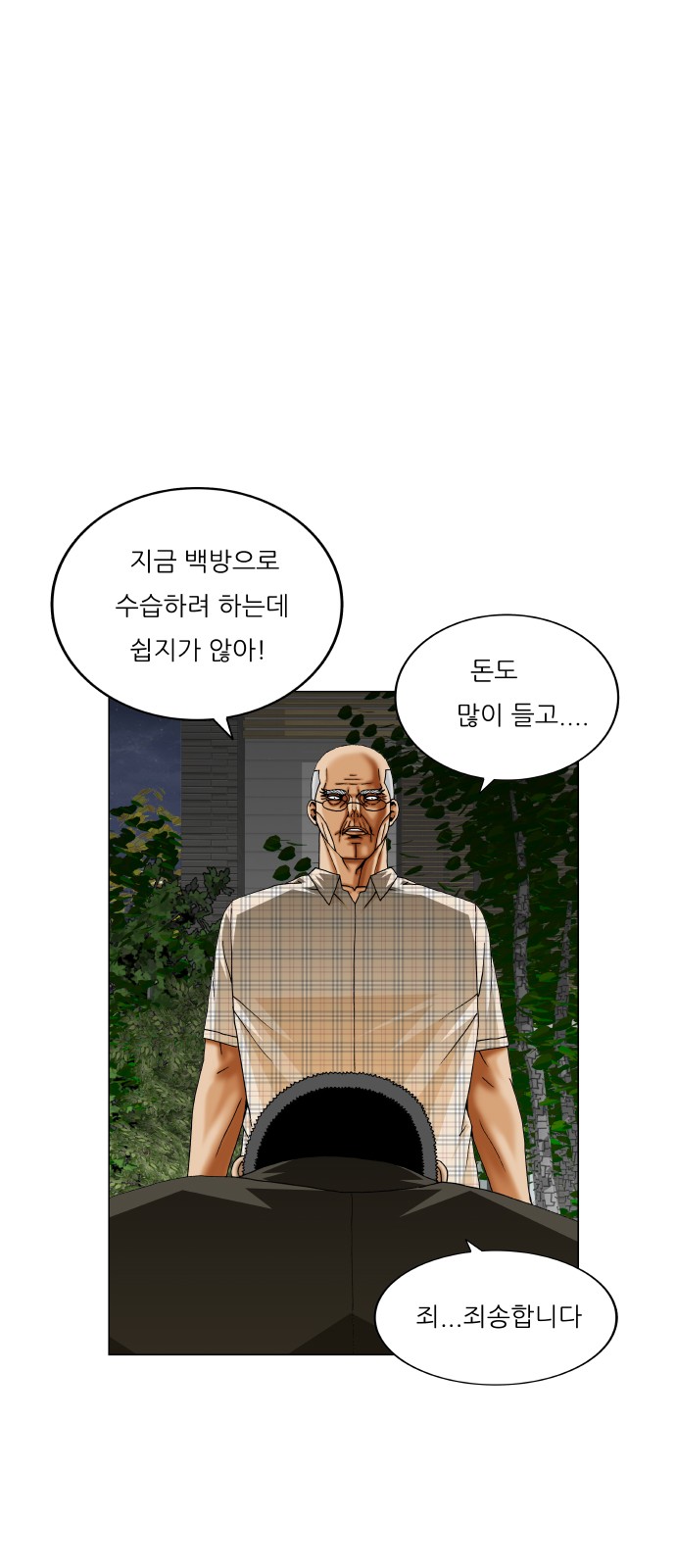 20 페이지