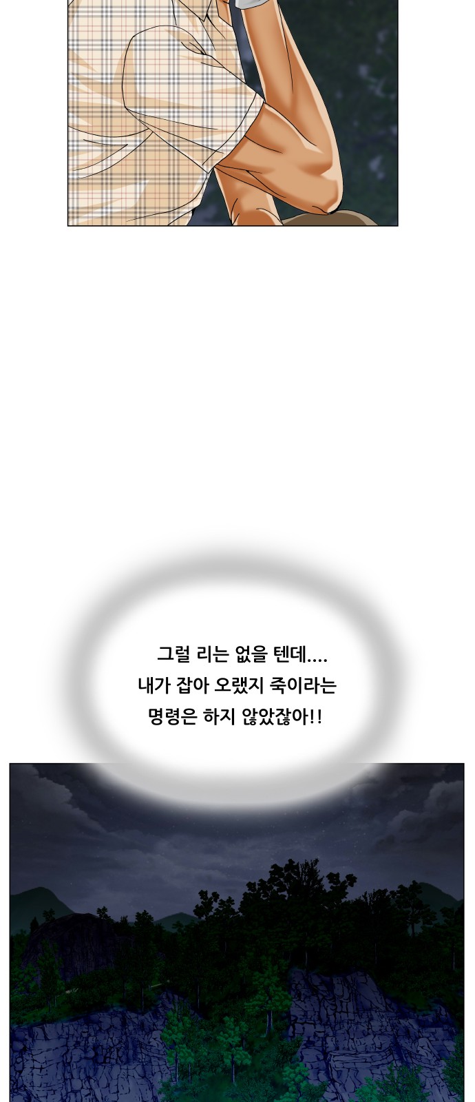53 페이지