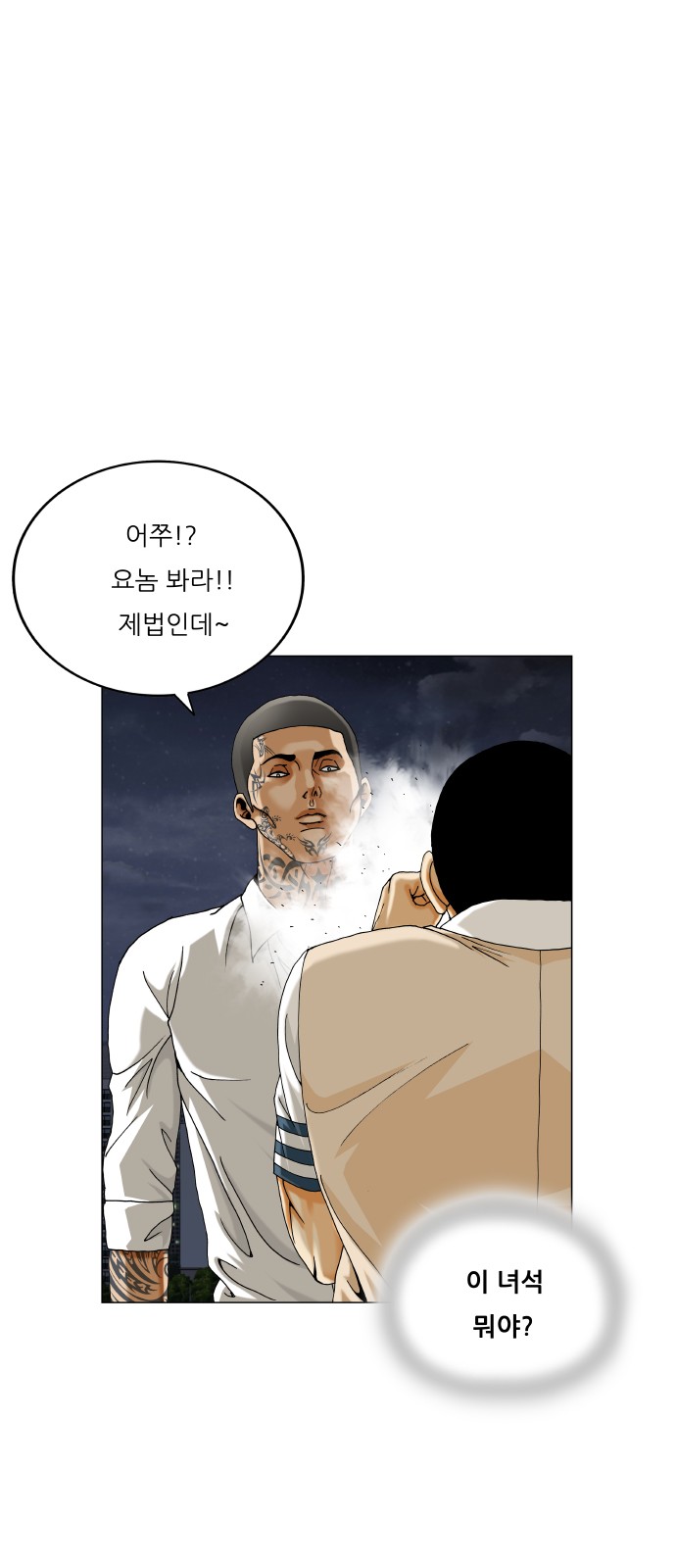 20 페이지