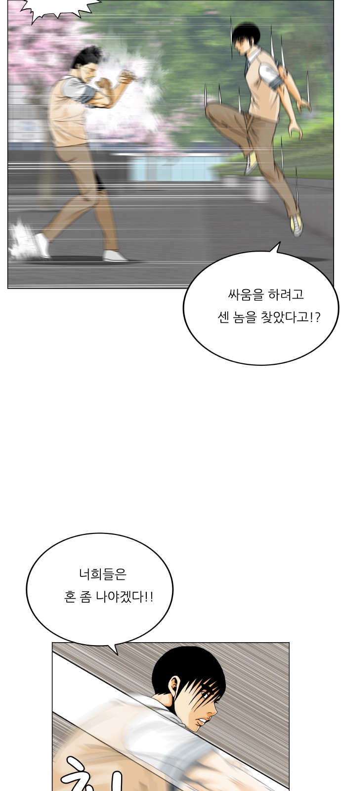 33 페이지
