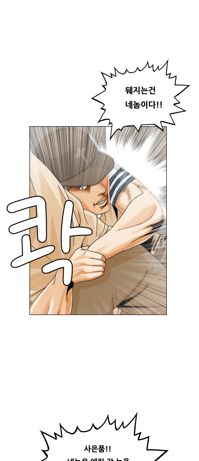 33 페이지