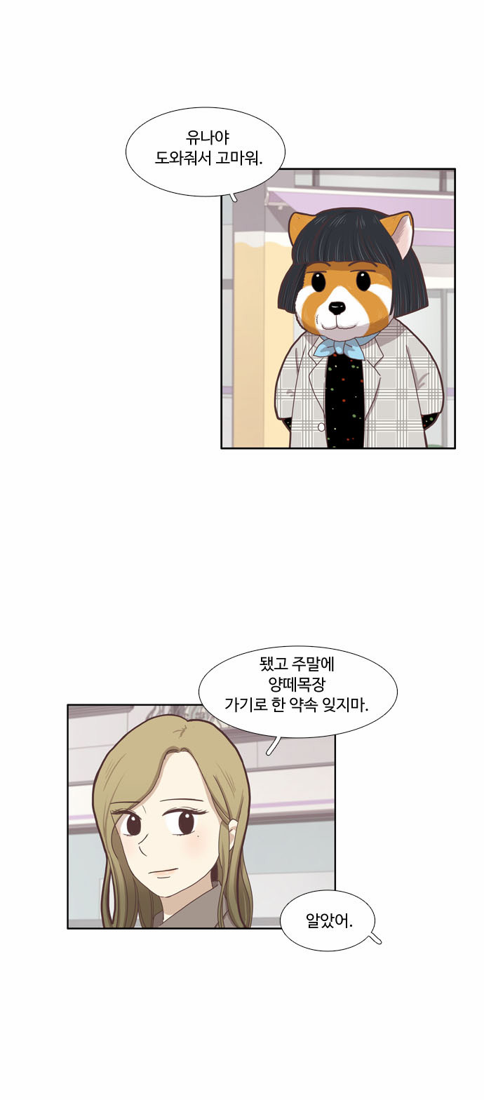 13 페이지