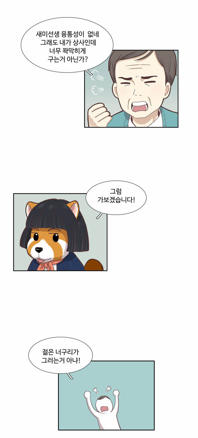 10 페이지