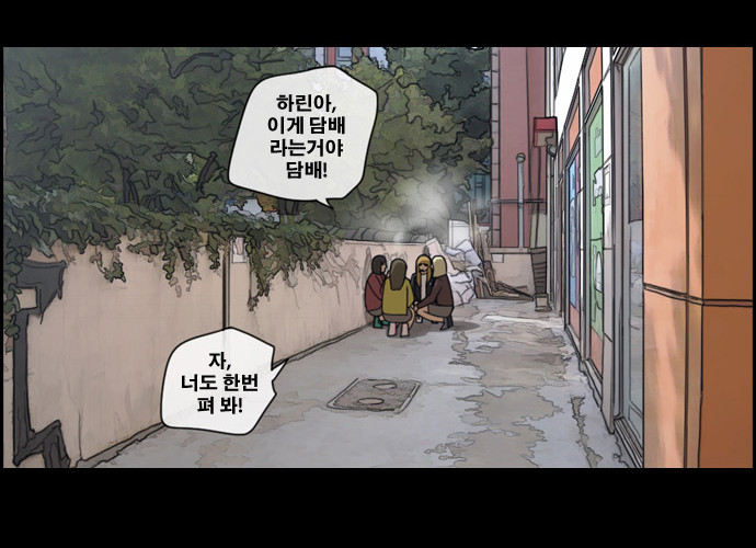 13 페이지