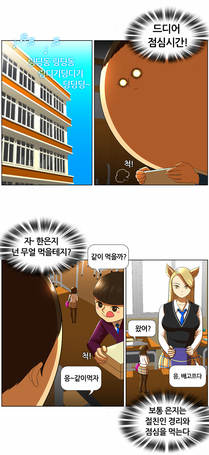 15 페이지
