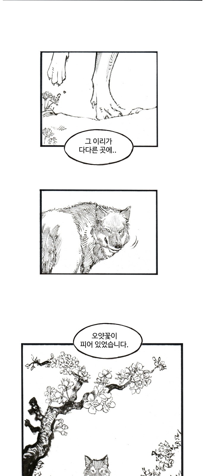 31 페이지