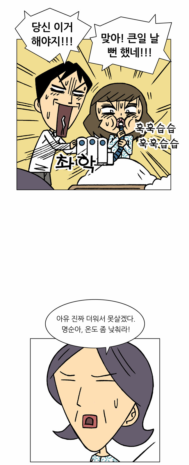 12 페이지