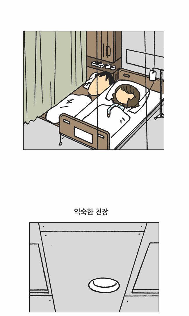 12 페이지