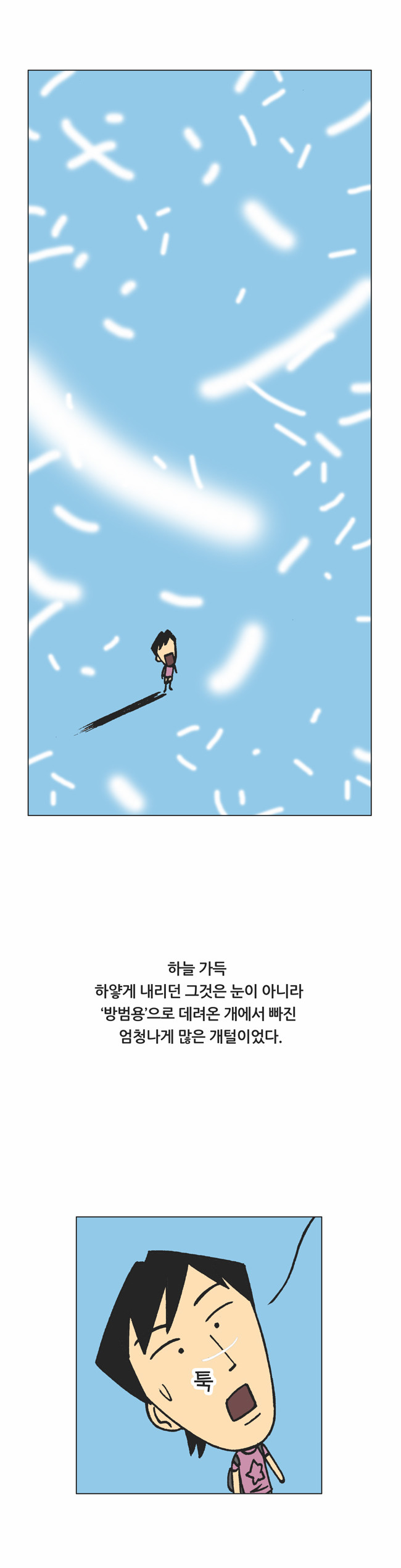 15 페이지