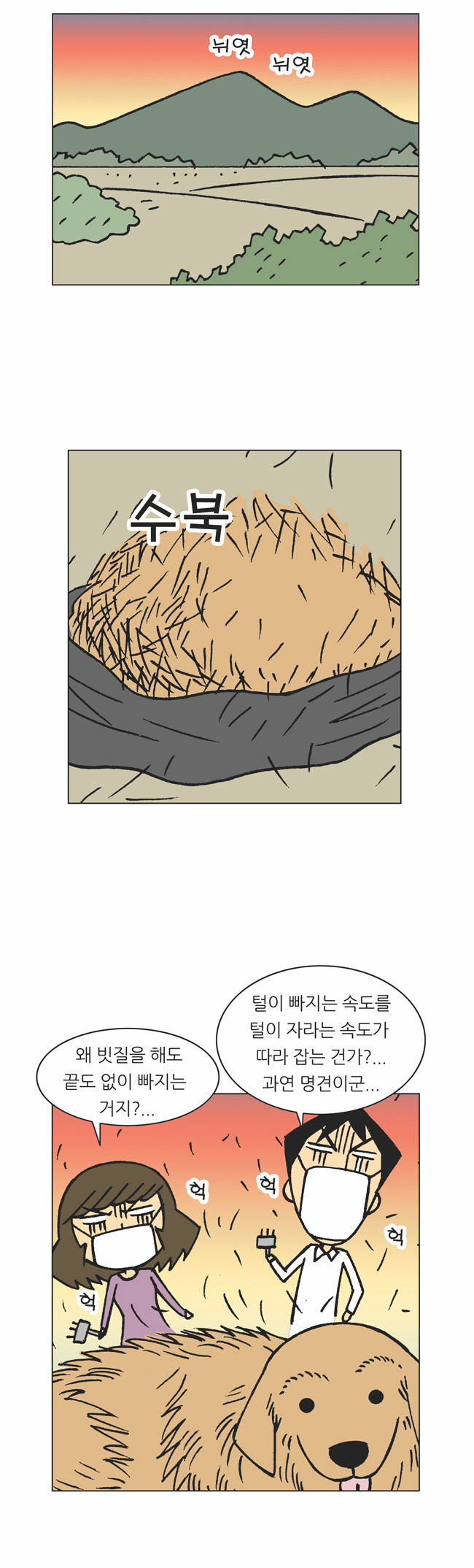 10 페이지