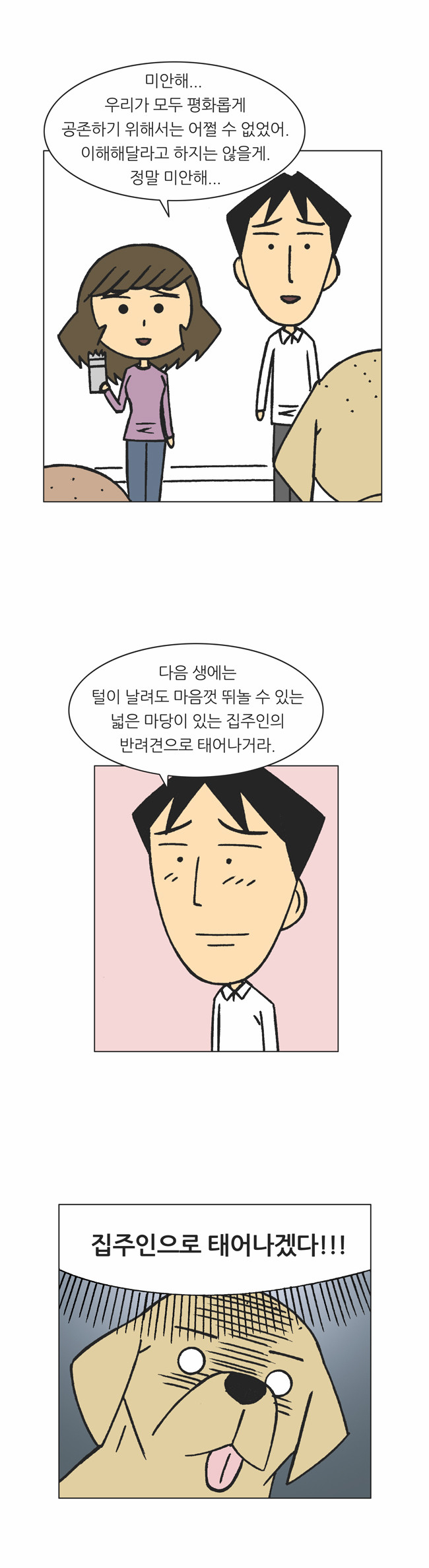17 페이지
