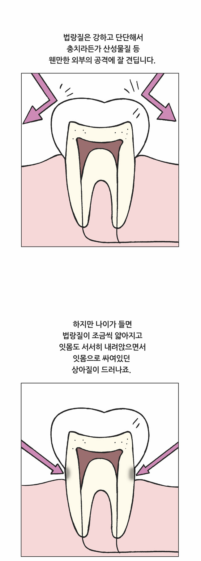 5 페이지