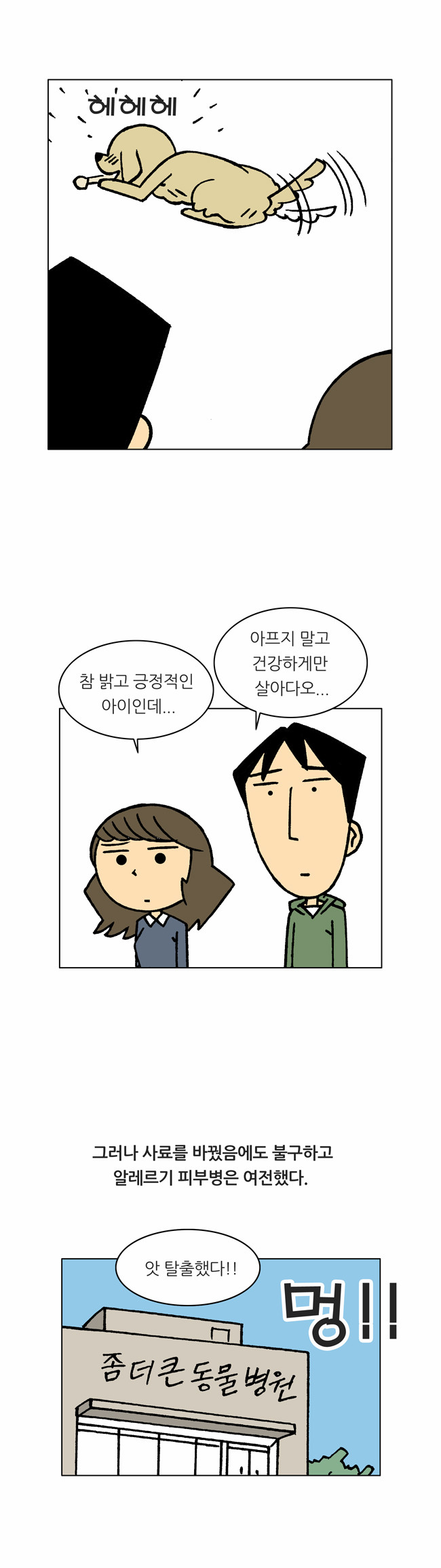 11 페이지