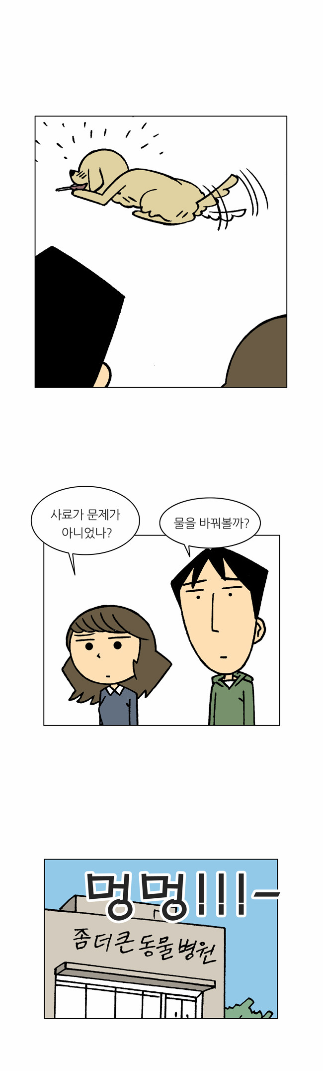 13 페이지