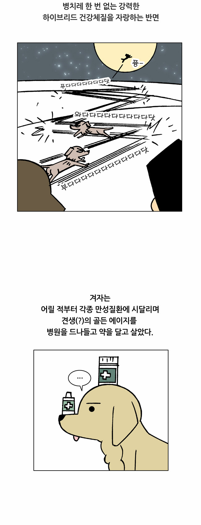 3 페이지