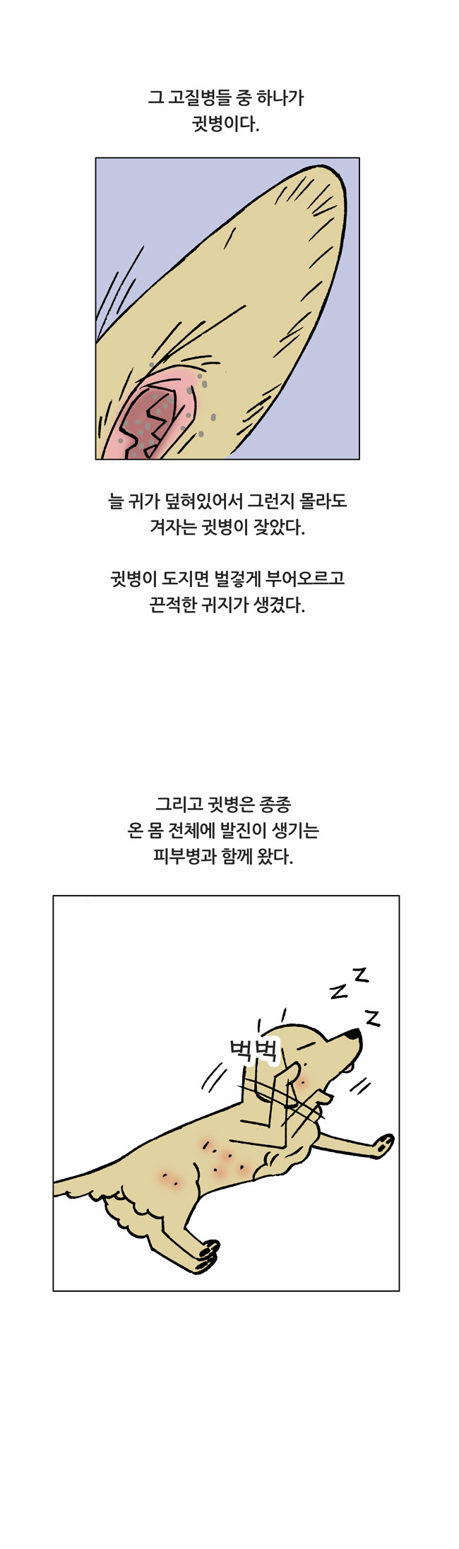 4 페이지