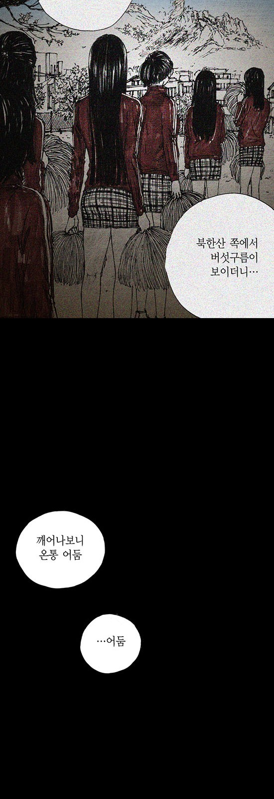 31 페이지