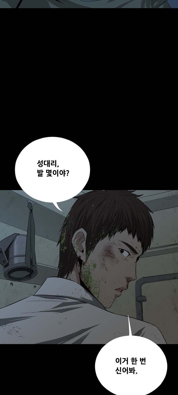38 페이지