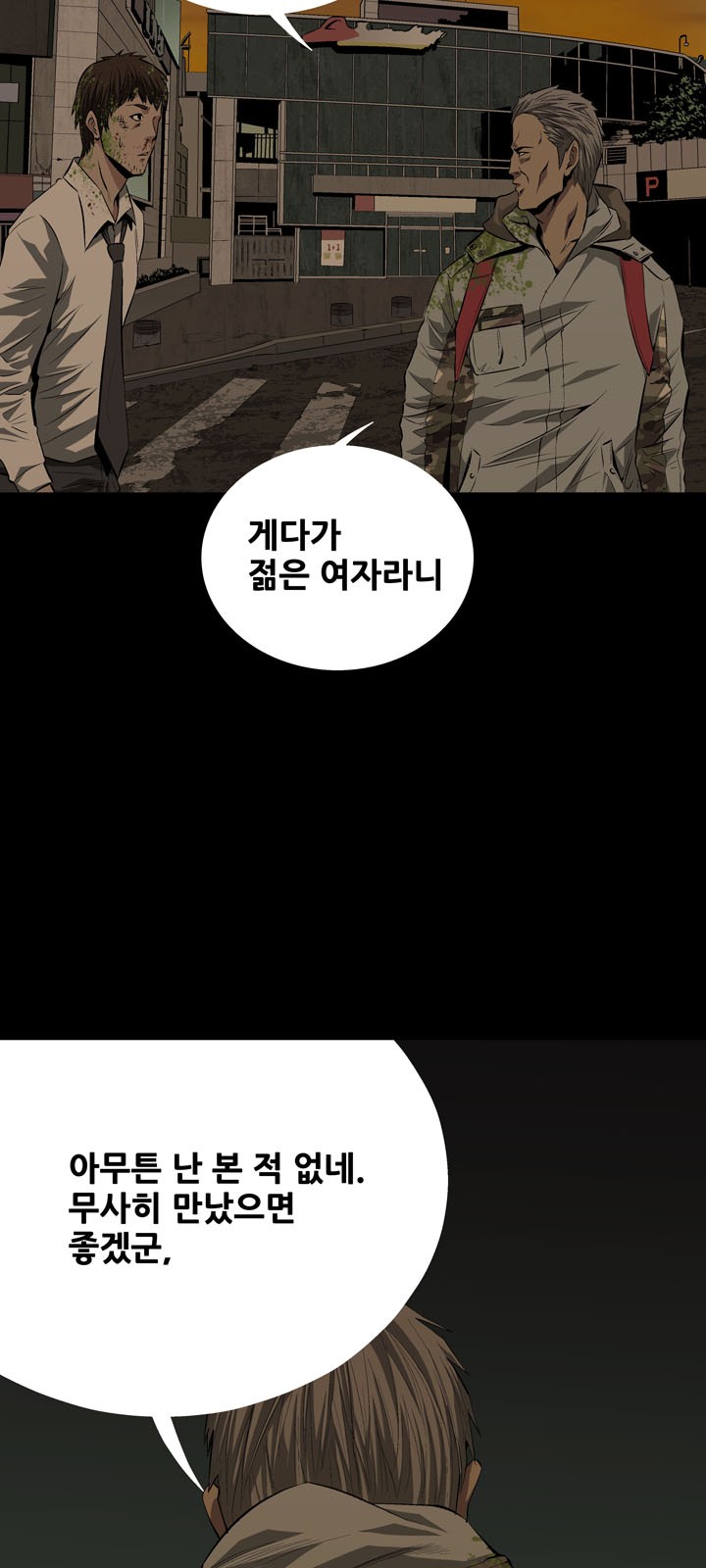 48 페이지