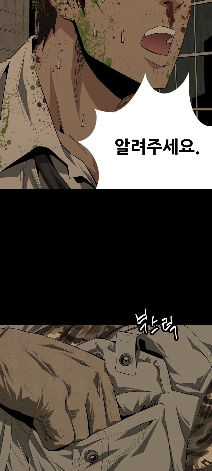51 페이지
