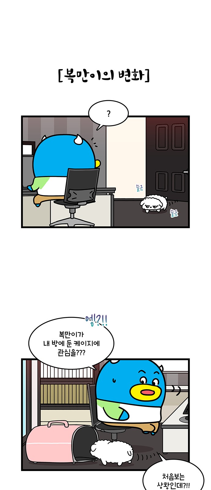 15 페이지