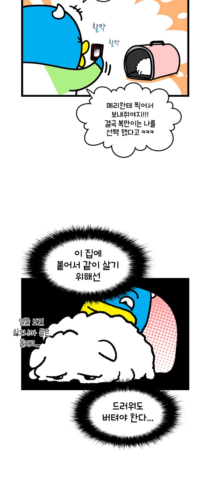 17 페이지