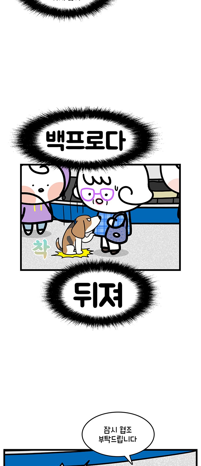 11 페이지