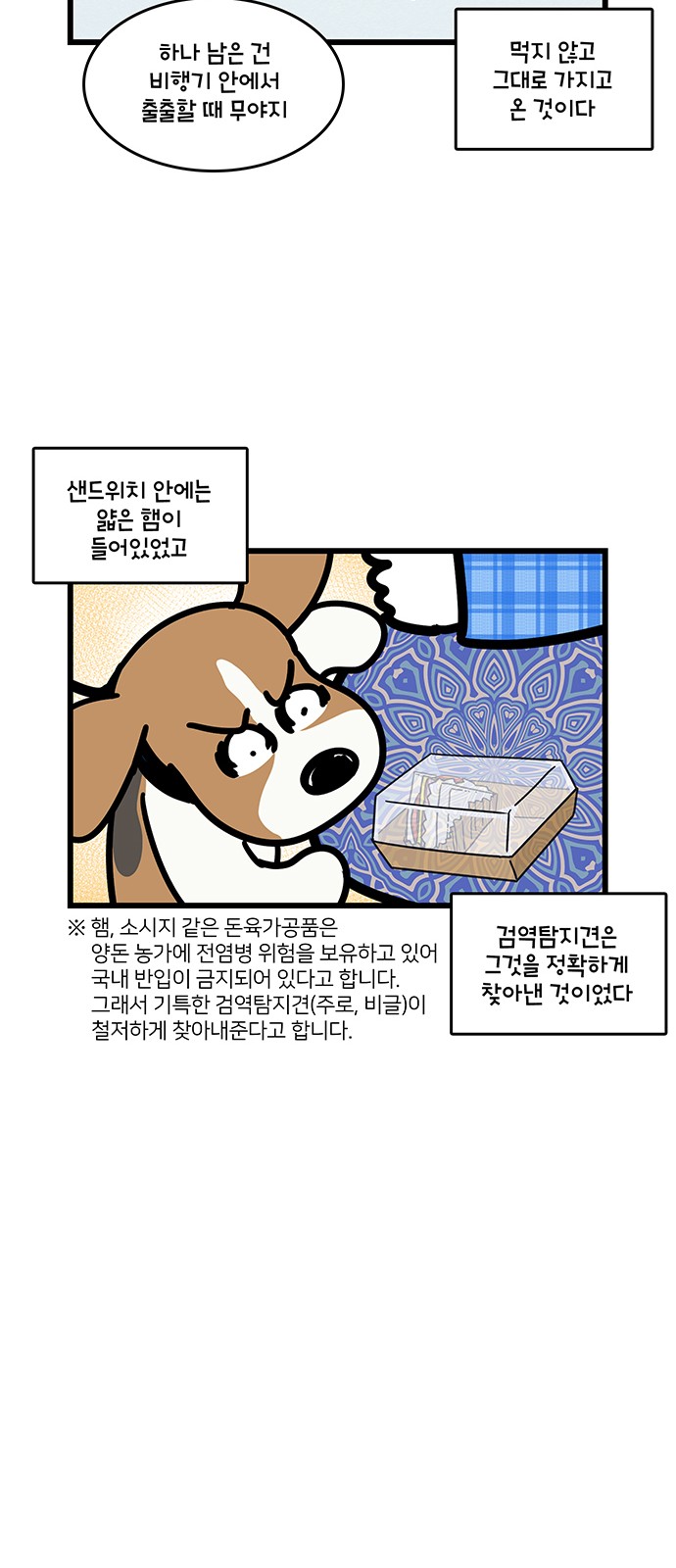 16 페이지