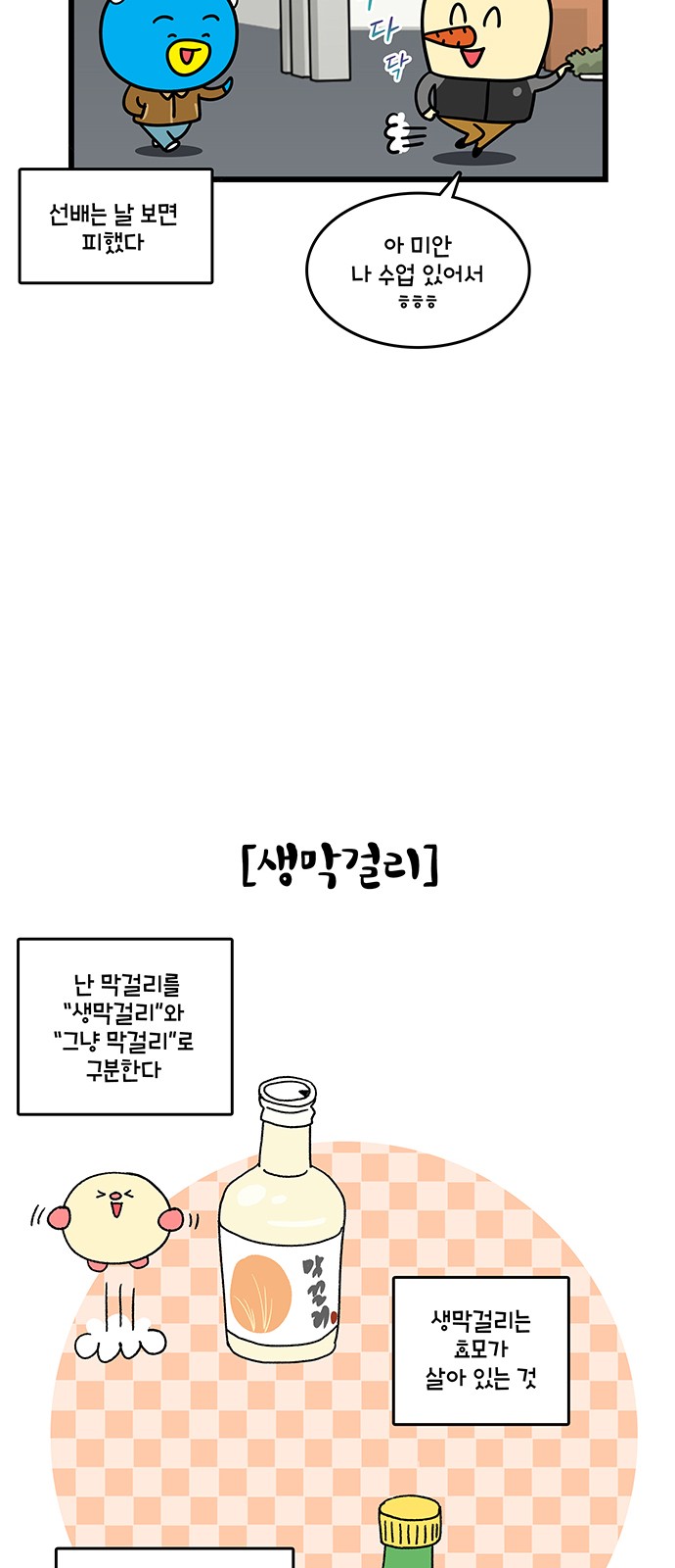 13 페이지
