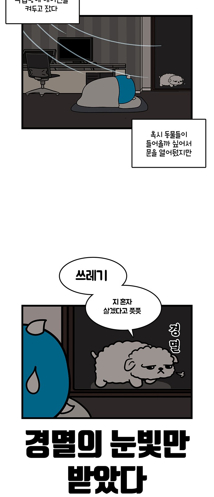 12 페이지