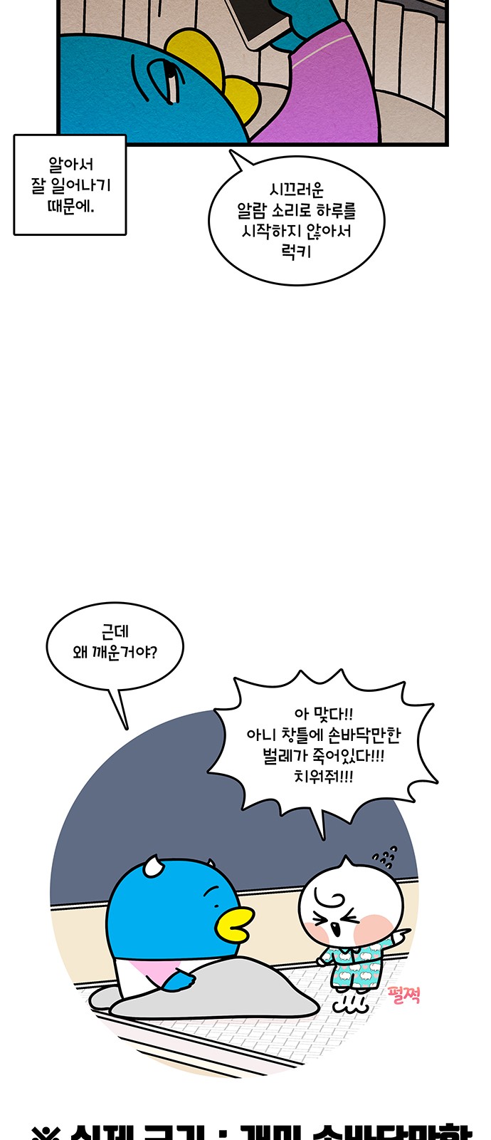 11 페이지