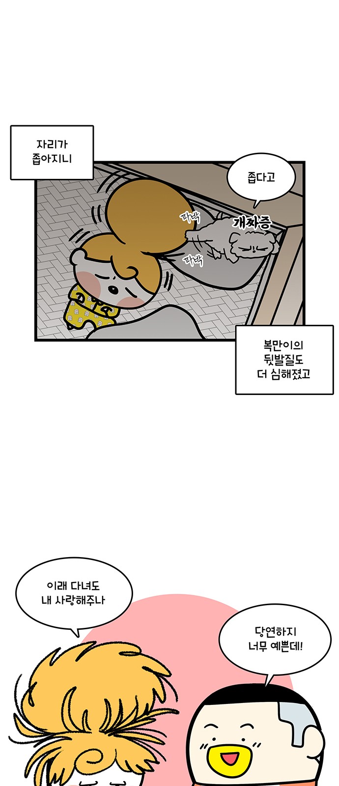 14 페이지