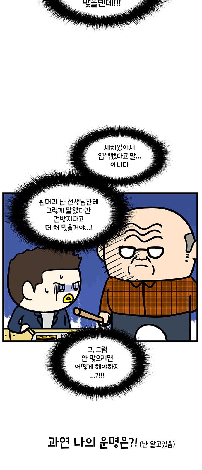 20 페이지