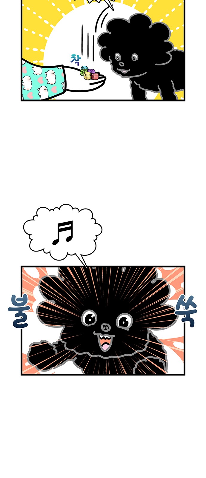 13 페이지