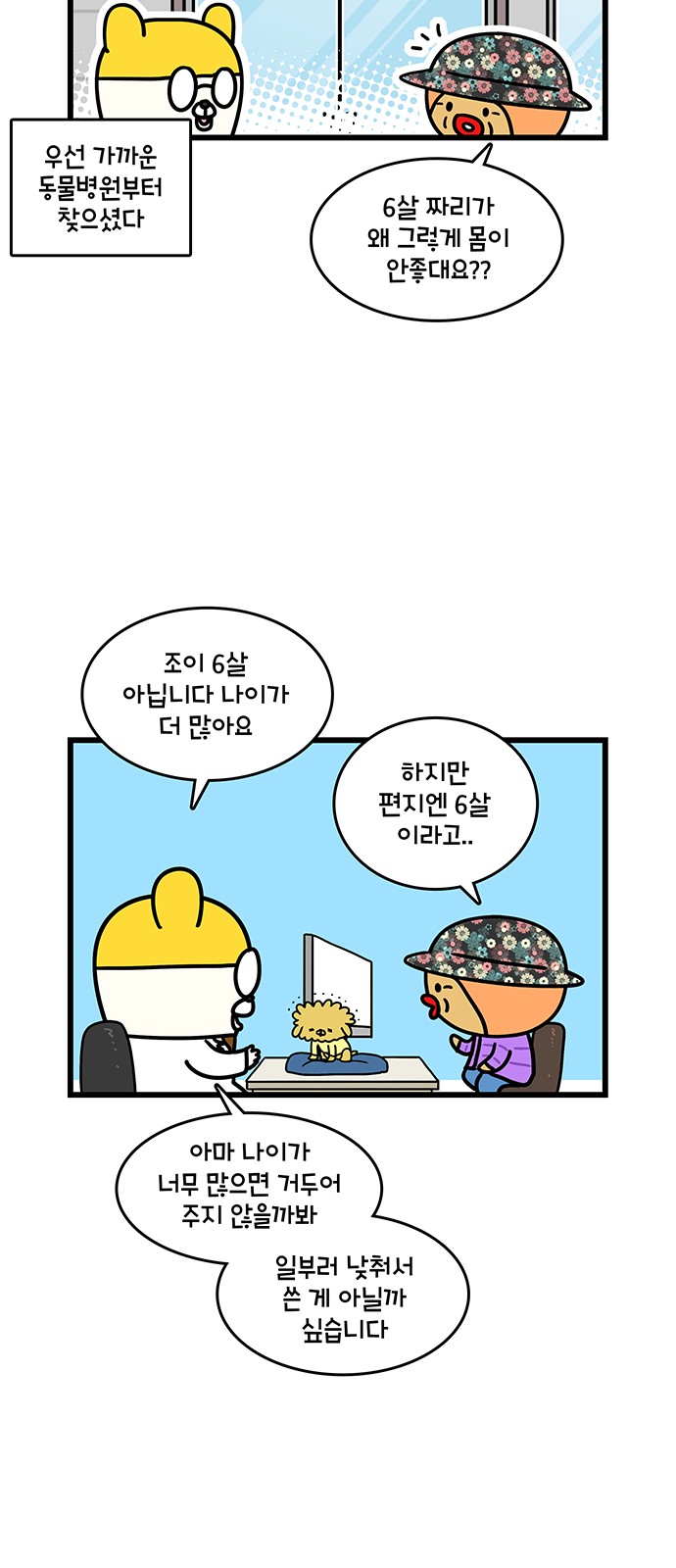 11 페이지