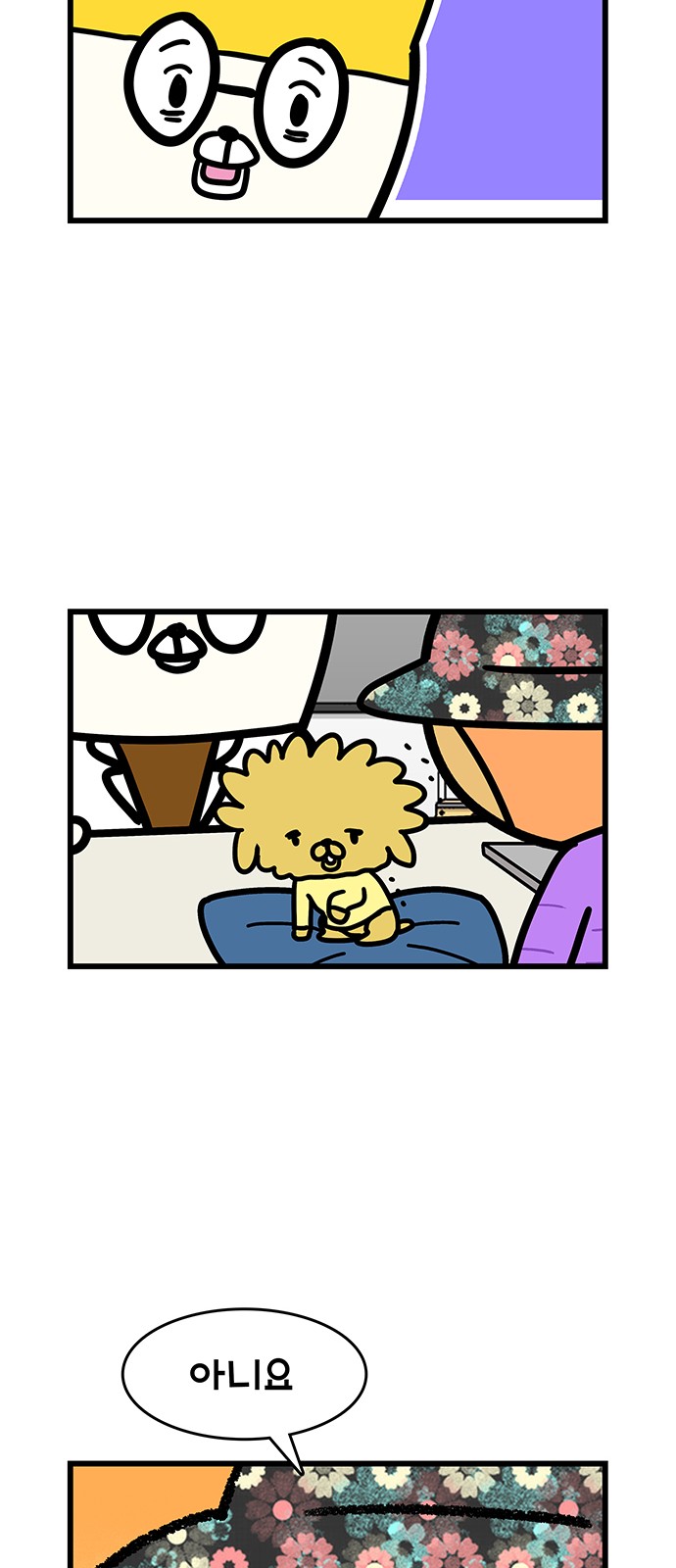 13 페이지