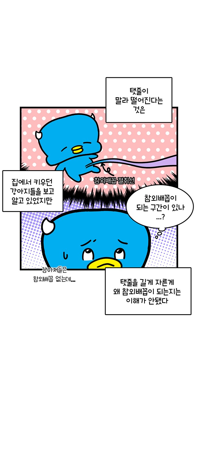 8 페이지