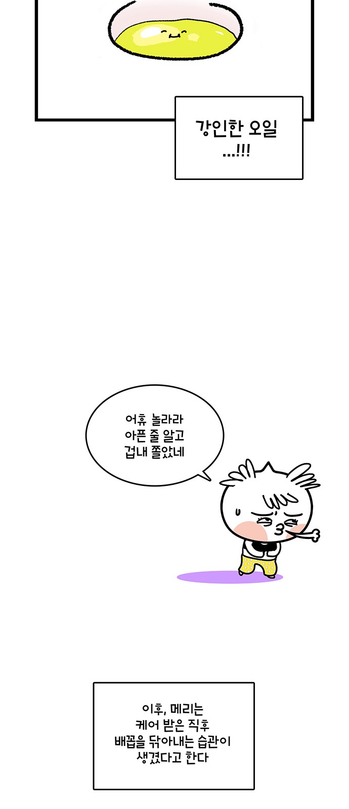 20 페이지