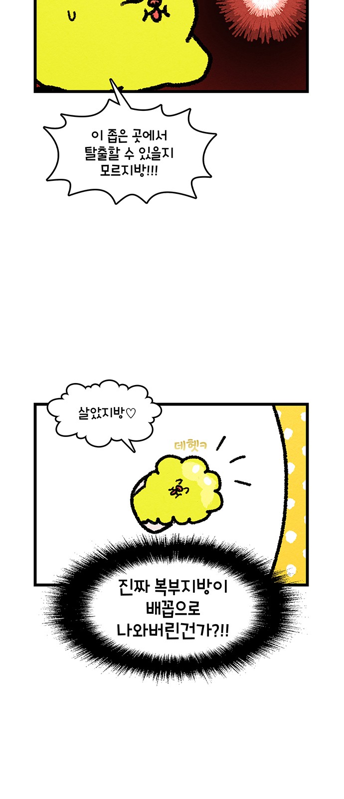 5 페이지