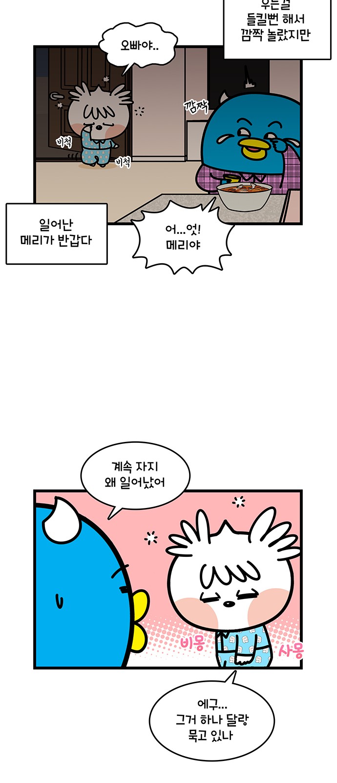 15 페이지