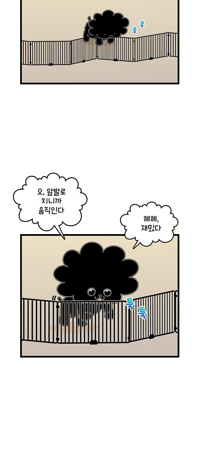 11 페이지
