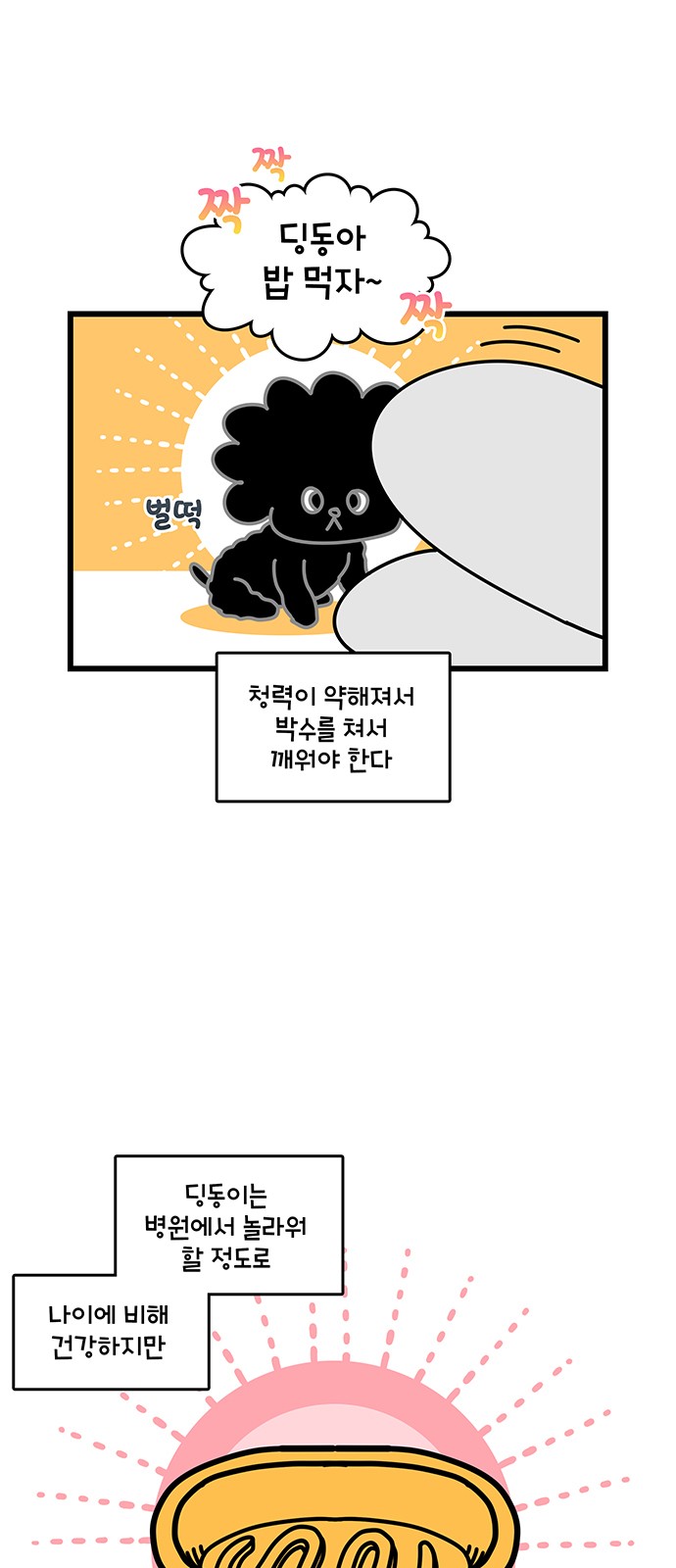 12 페이지