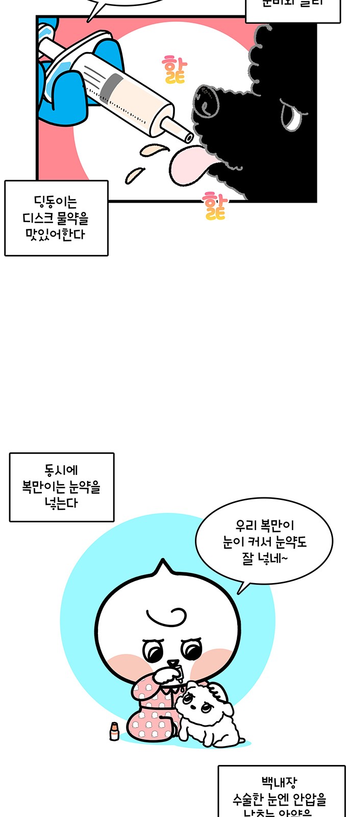 15 페이지