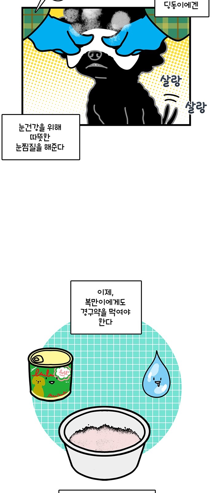 17 페이지